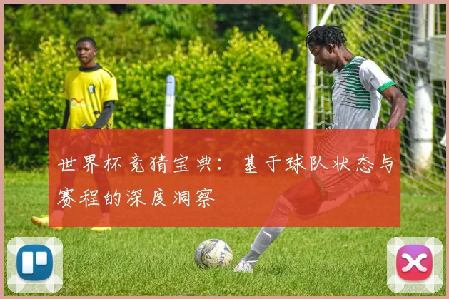 世界杯竞猜宝典：基于球队状态与赛程的深度洞察