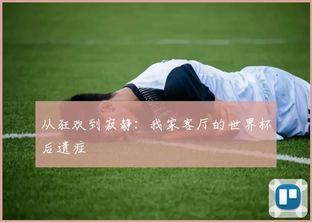 从狂欢到寂静:我家客厅的世界杯后遗症